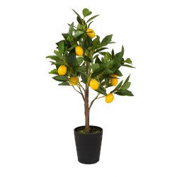 LIMONERO